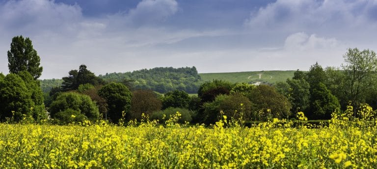 The Garden of England | Things to do in Kent