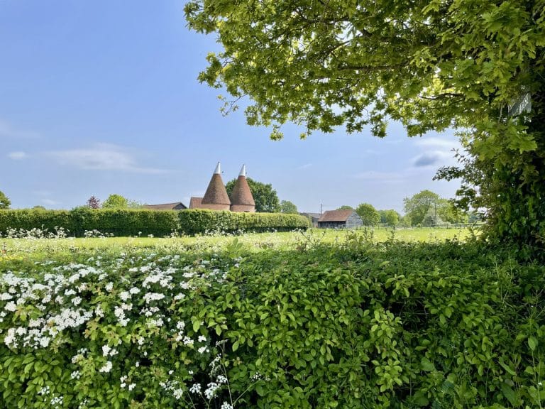 Oast houses, Kent Countryside