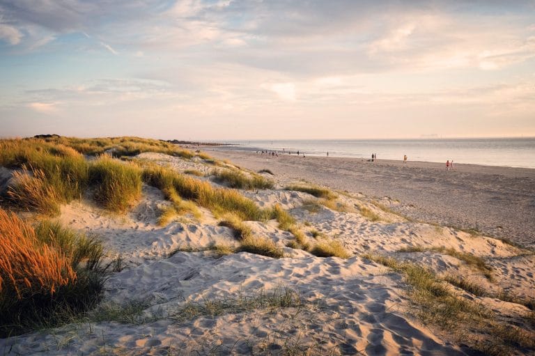 Sand dunes at East Head, West Wittering, west sussex