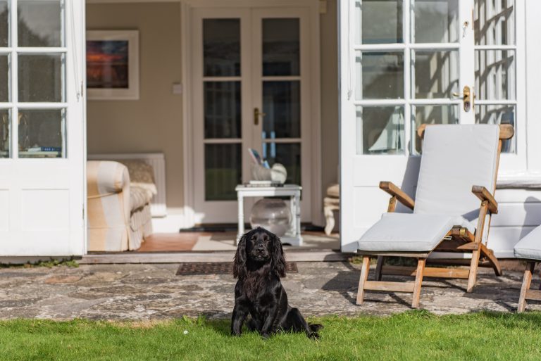 dog friendly holidays in kent with keepers cottages
