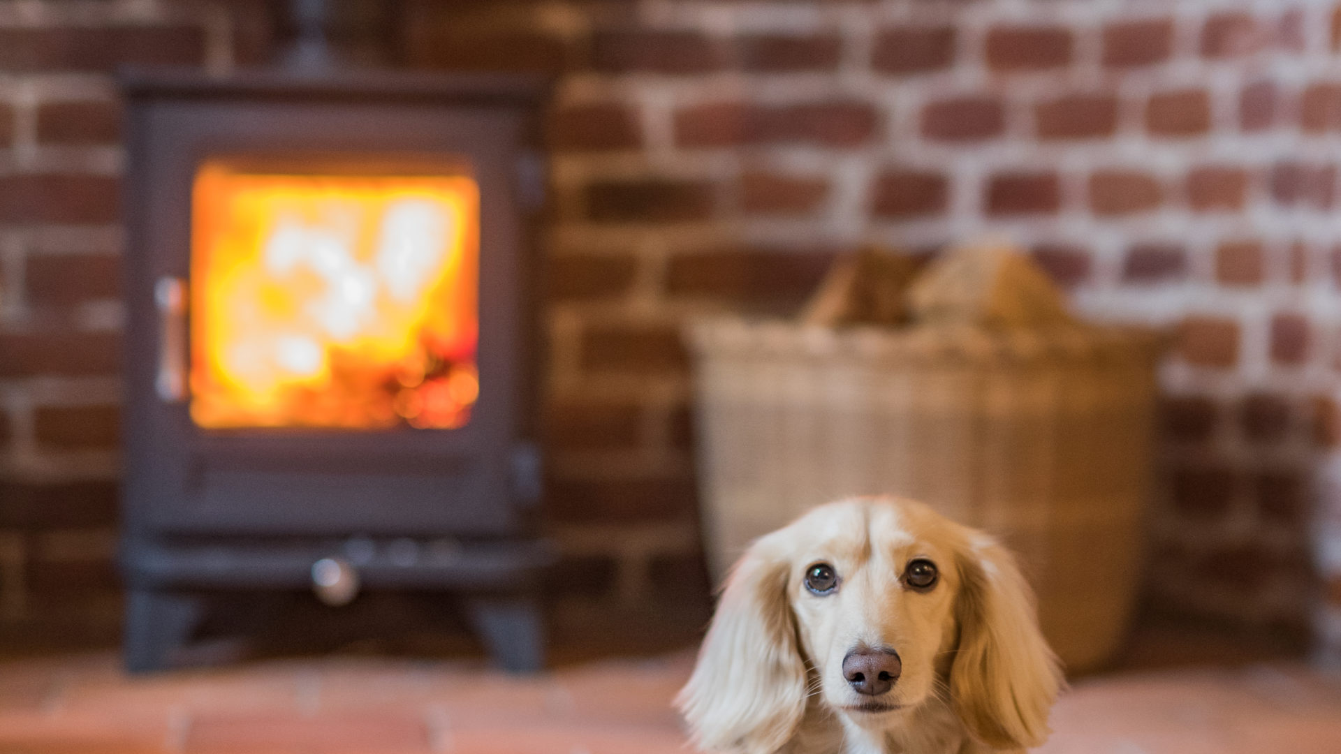 Dog Friendly stays in Deal, Kent