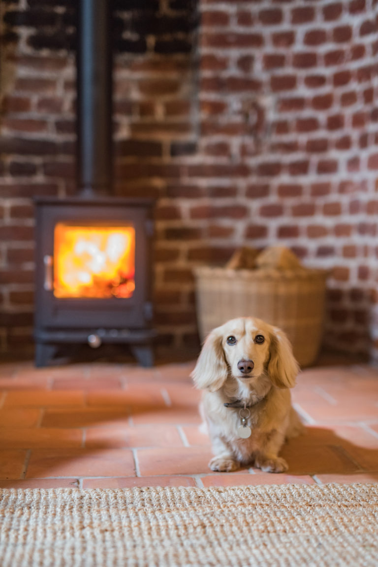 Dog Friendly stays in Deal, Kent