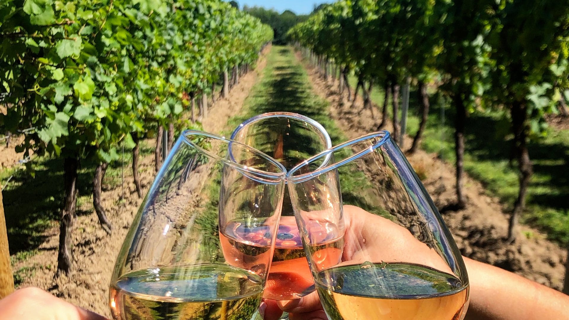 Chapel-down-group-glasses