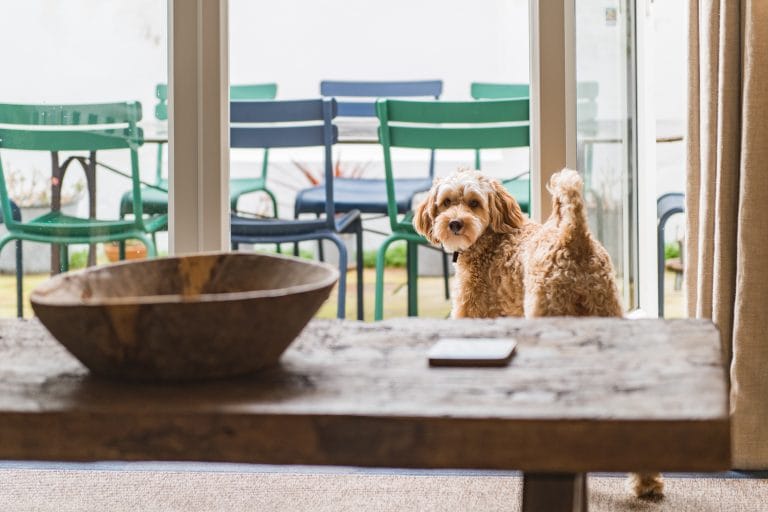 Dog Friendly Cottages in Kent for longer lets | Keepers Cottages