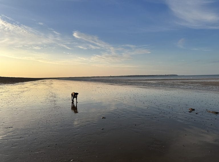 Sandwich Bay's sandy beach