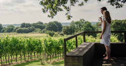 Wine Garden of England | Vineyards in Kent