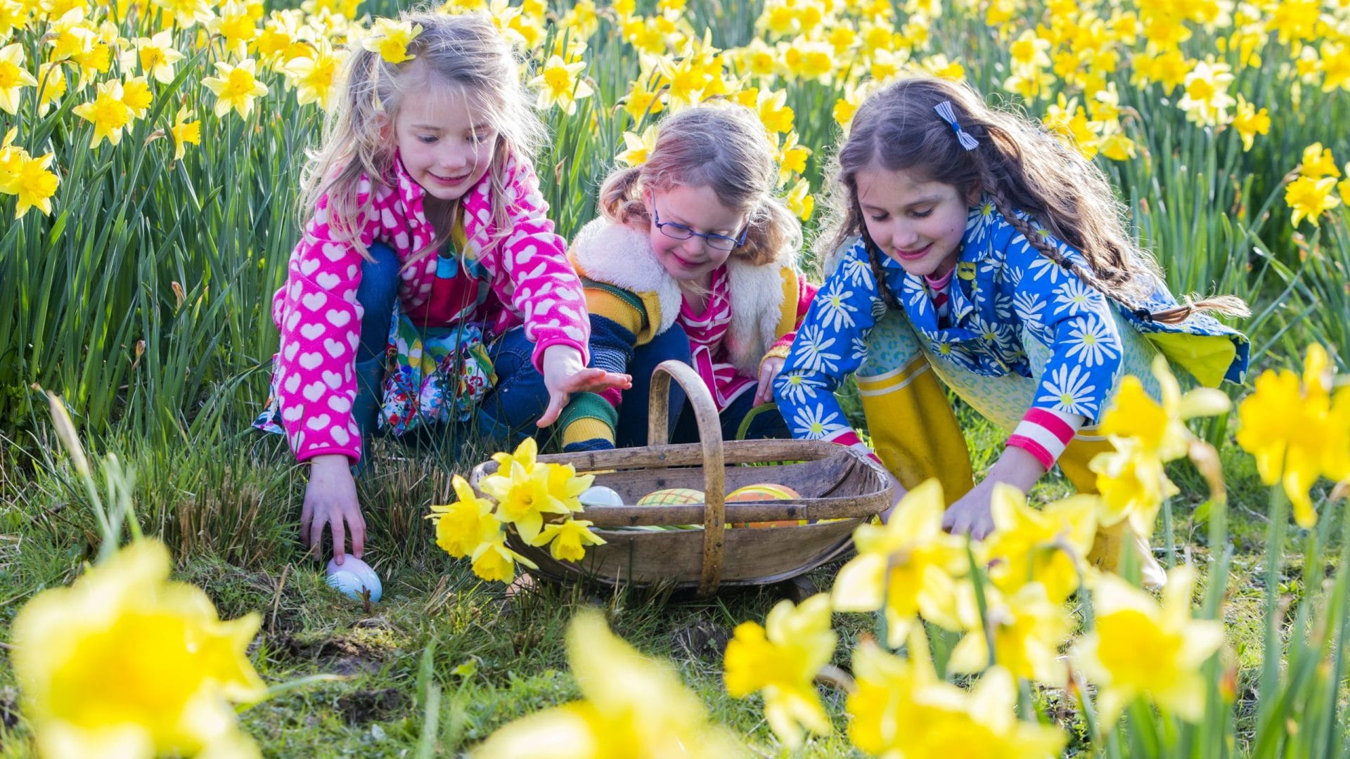 iStock-638656182-scaled