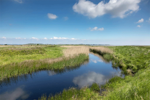 Oare Marshes Nature Reserve Faversham | Nature Reserves in Kent