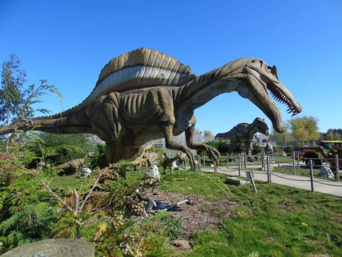 Wingham Wildlife Park, Kent | Things to do in Canterbury, Kent