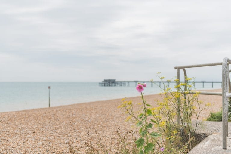 Sustainability at Keepers Cottages | Beach picture