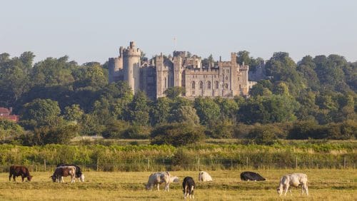 Arundel Castle in West Sussex | Things to do in Sussex