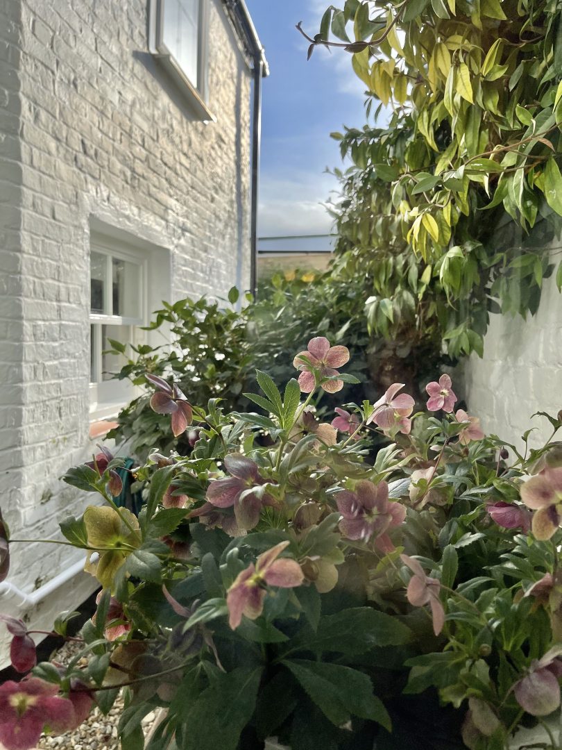 Holbrook House image