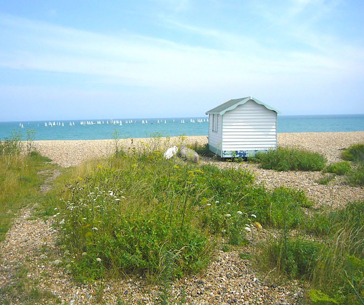 Sea Rose Cottage image