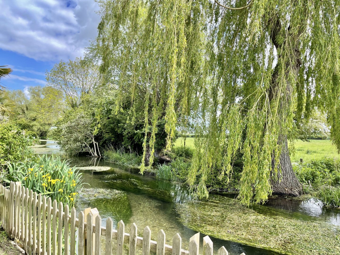 Willow Tree Lodge image