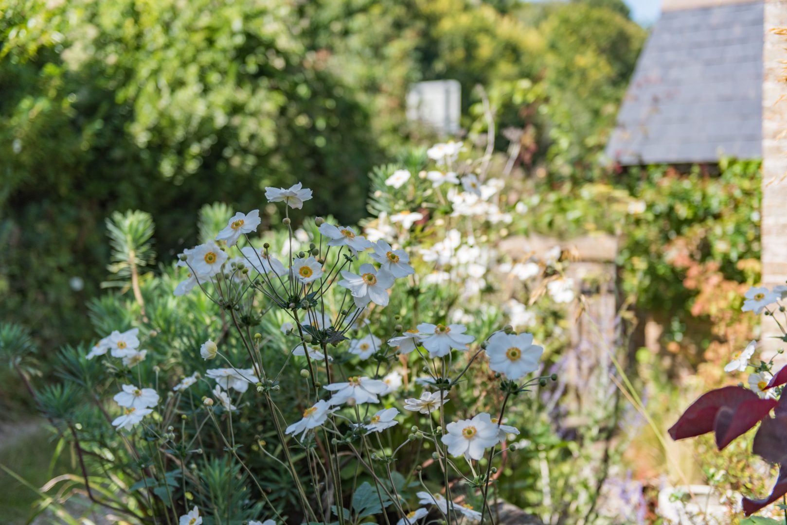 Flint House image