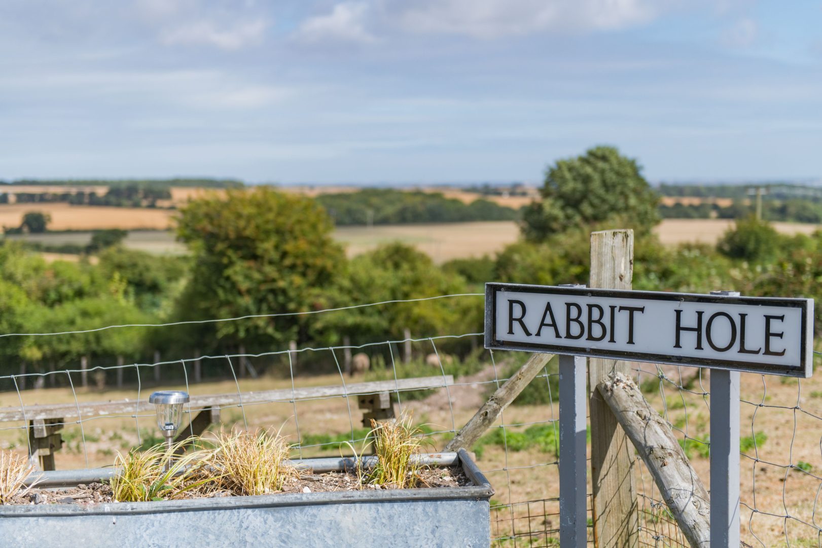 Rabbit Hole image