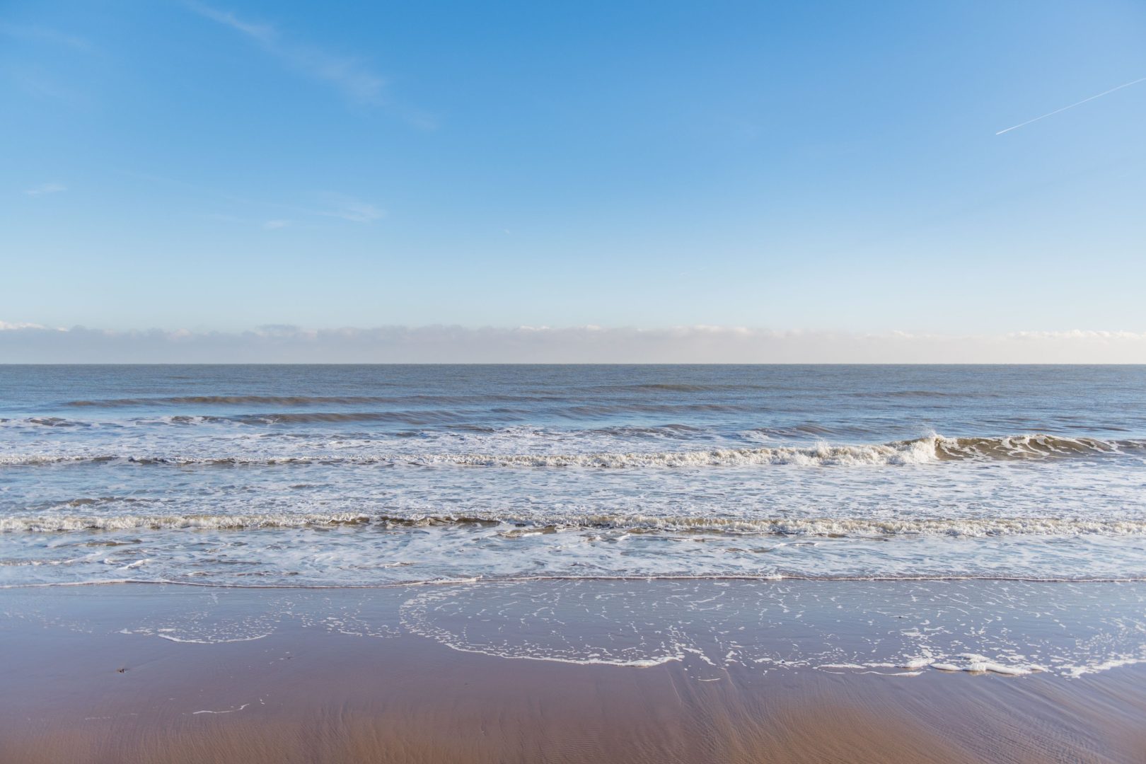 Seas the Day image