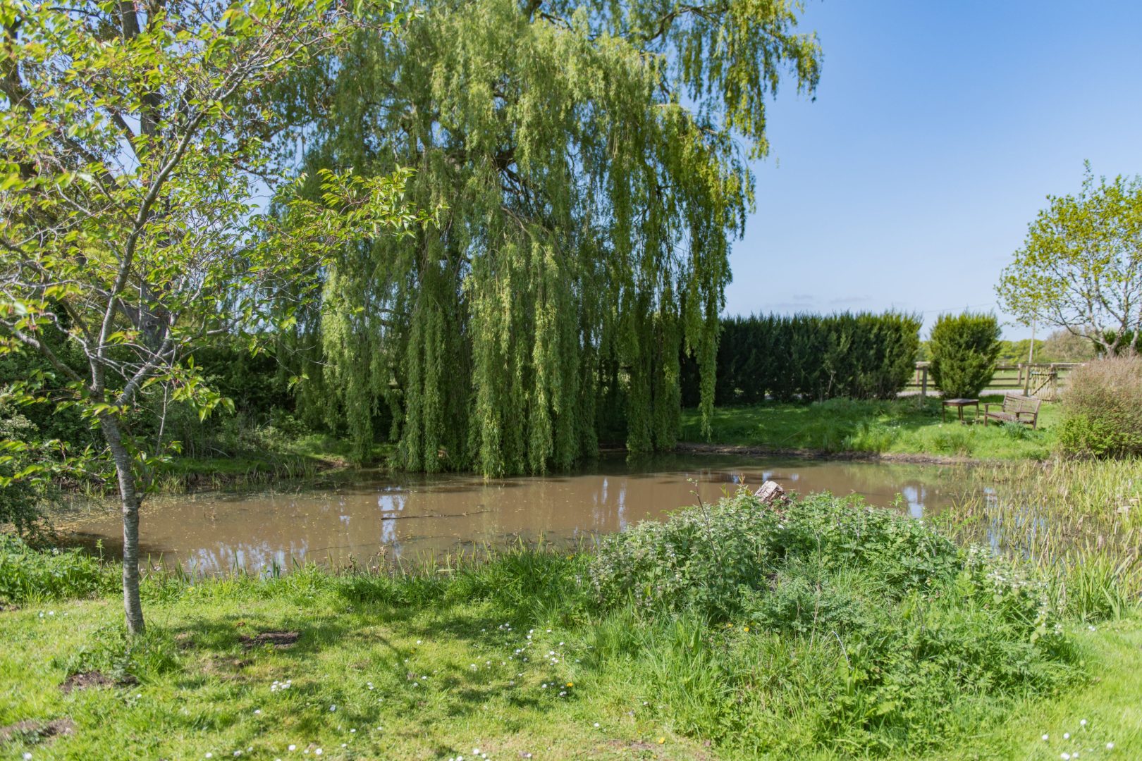 Pond Cottage image