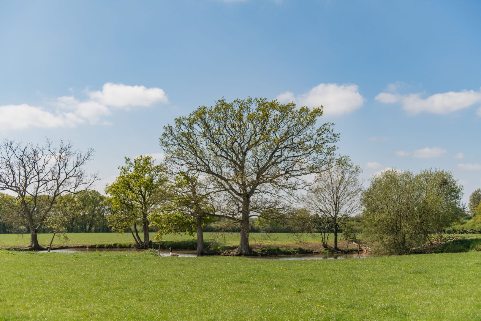 Pond Cottage image