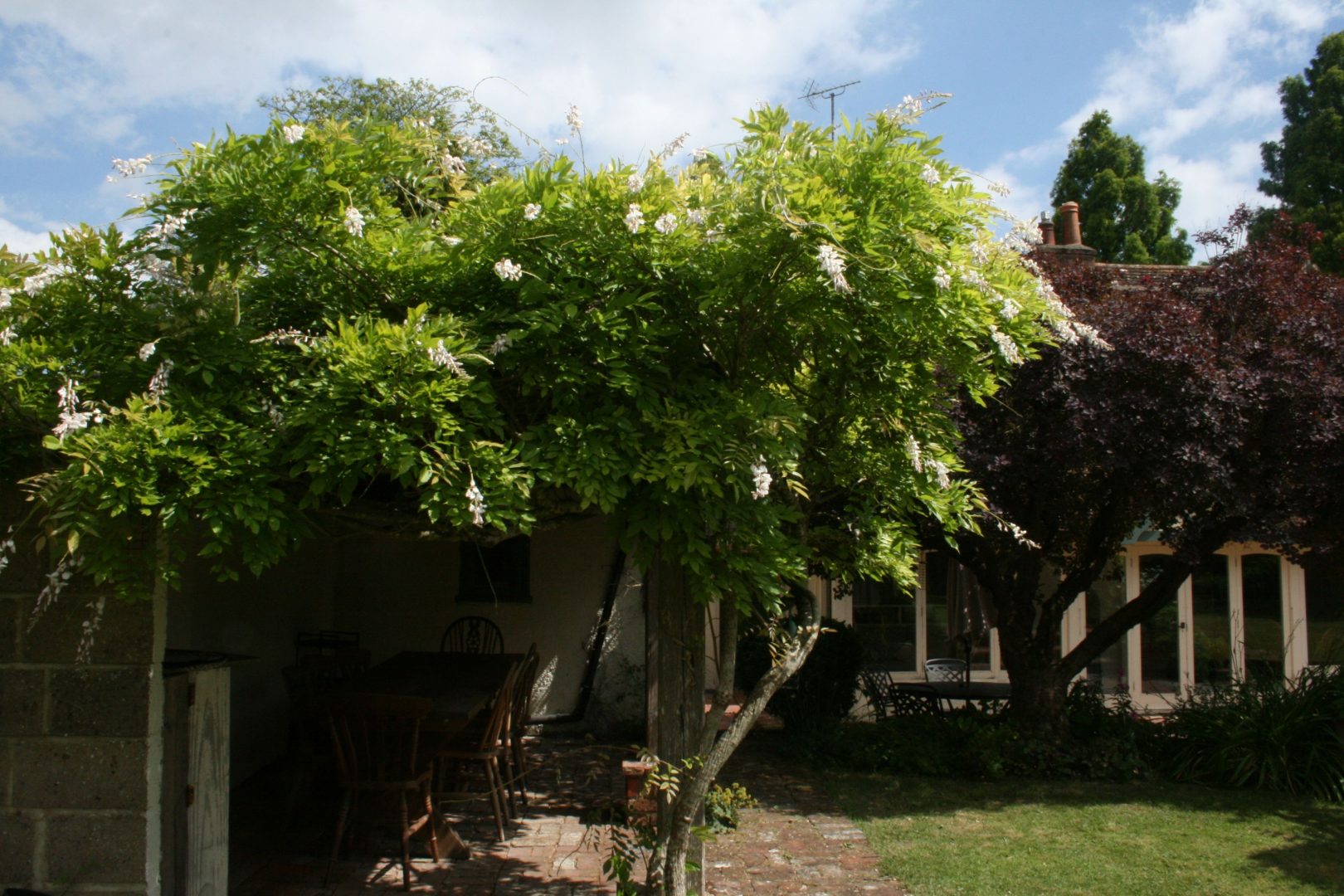 Water Farm House image