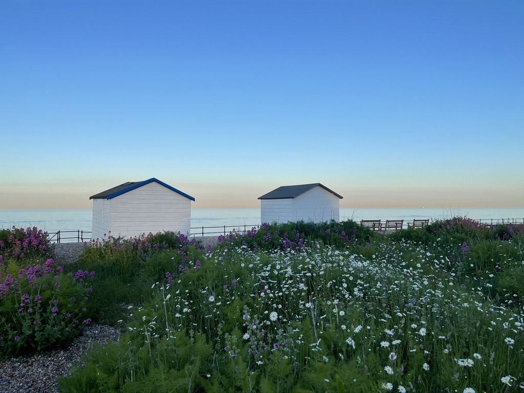 Violet Cottage image