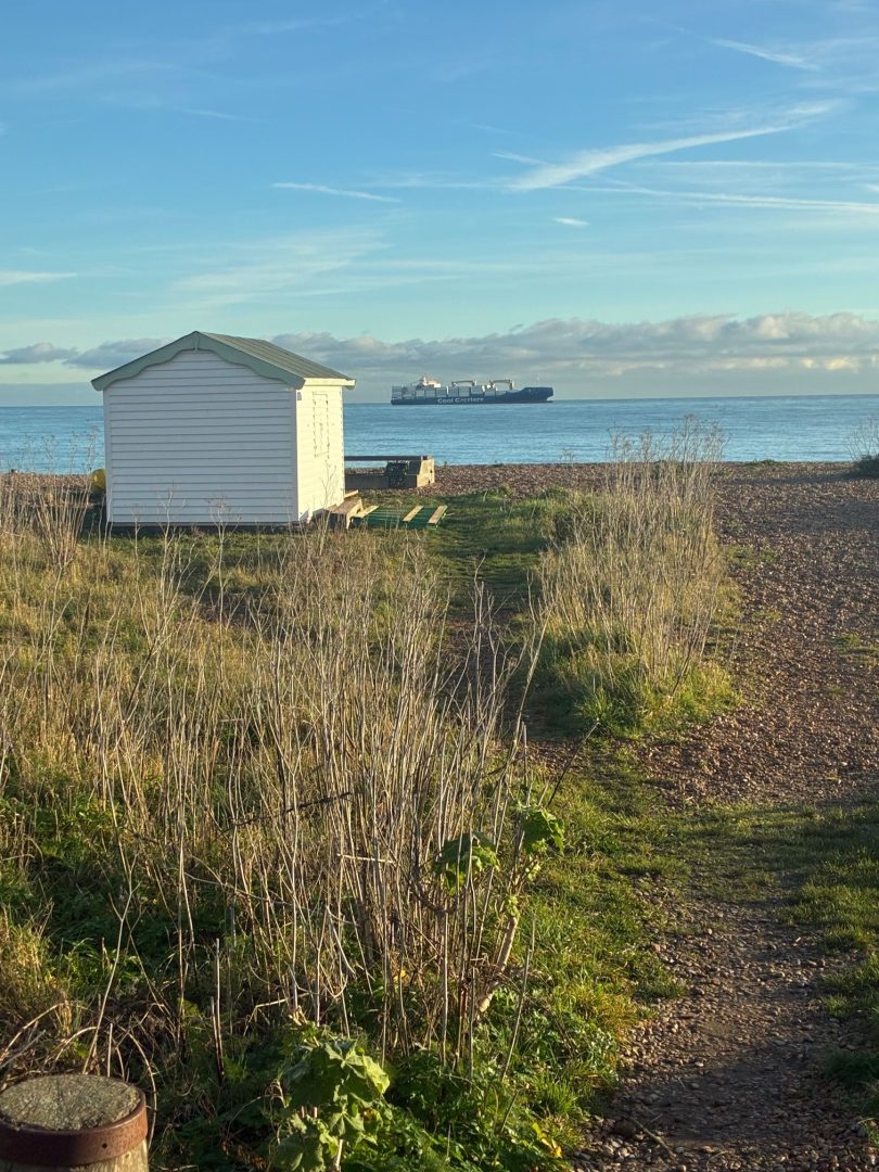 Sea Rose Cottage image