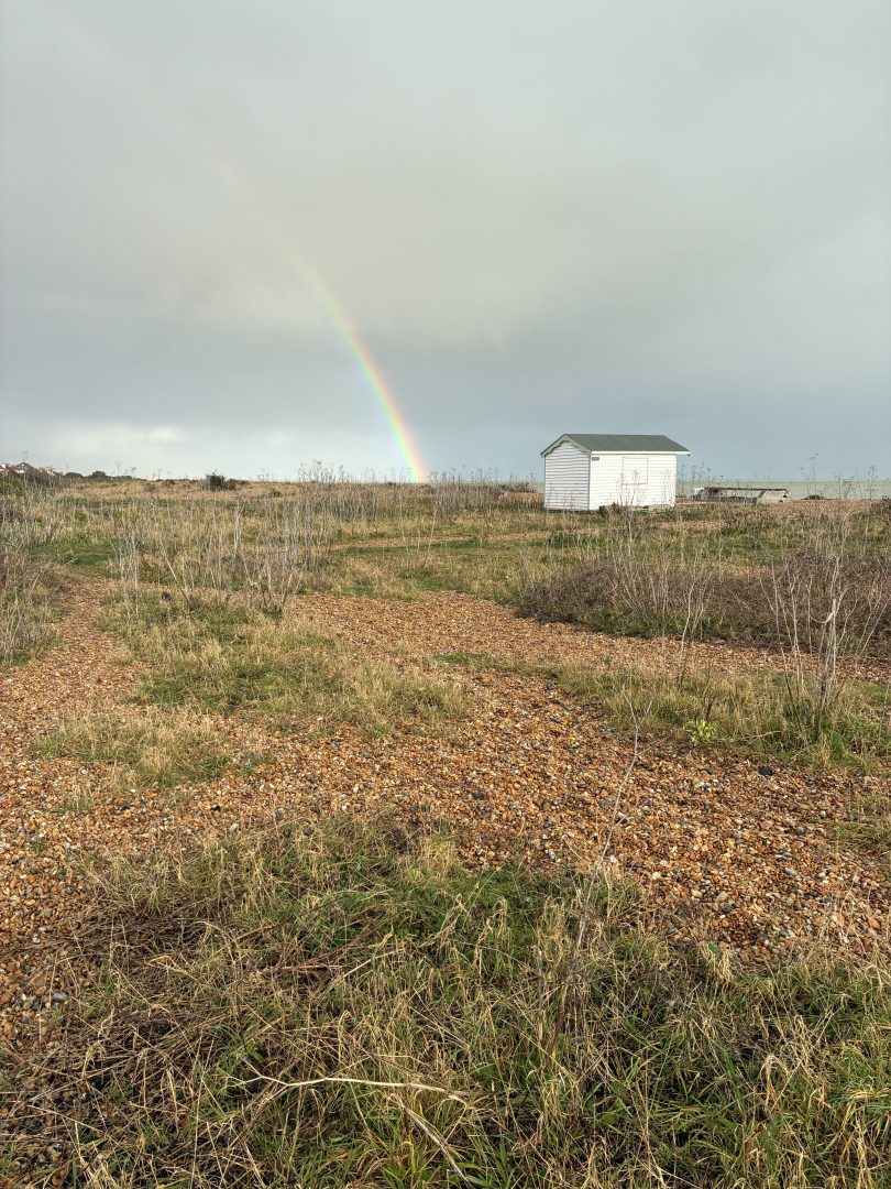 Sea Rose Cottage image