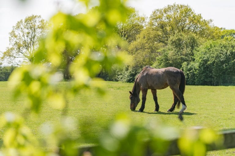 Springtime escapes in Kent with Keepers Cottages
