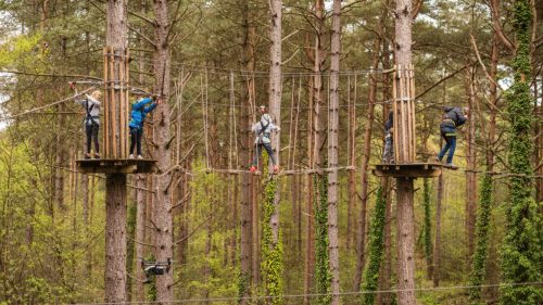 Go Ape, Leeds Castle in Maidstone, Kent