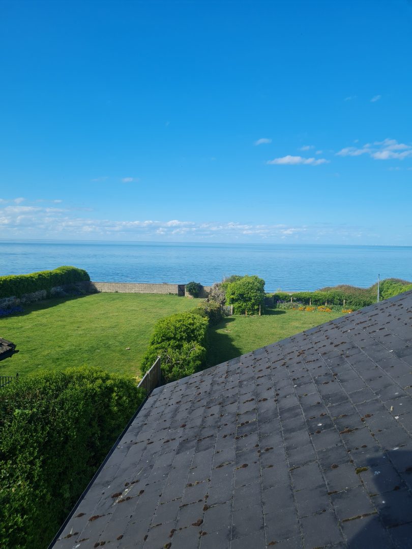 Whitecliff image