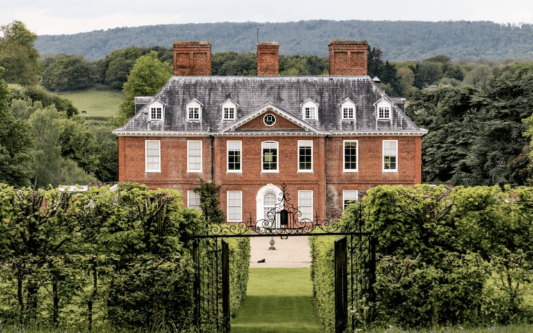 Squerryes wine vineyards kent