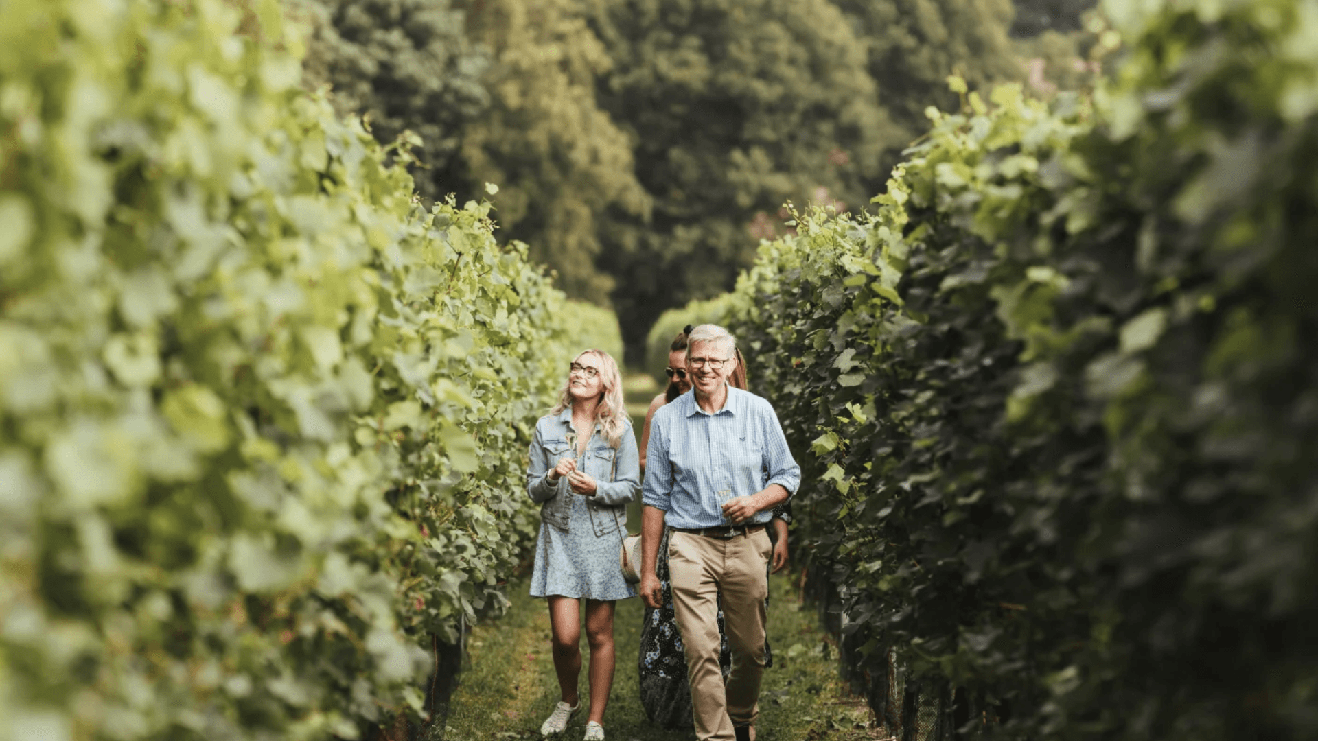 Simpsons best vineyards kent