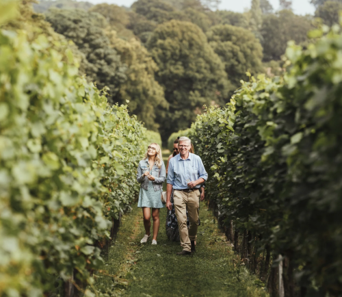 Simpsons best vineyards kent
