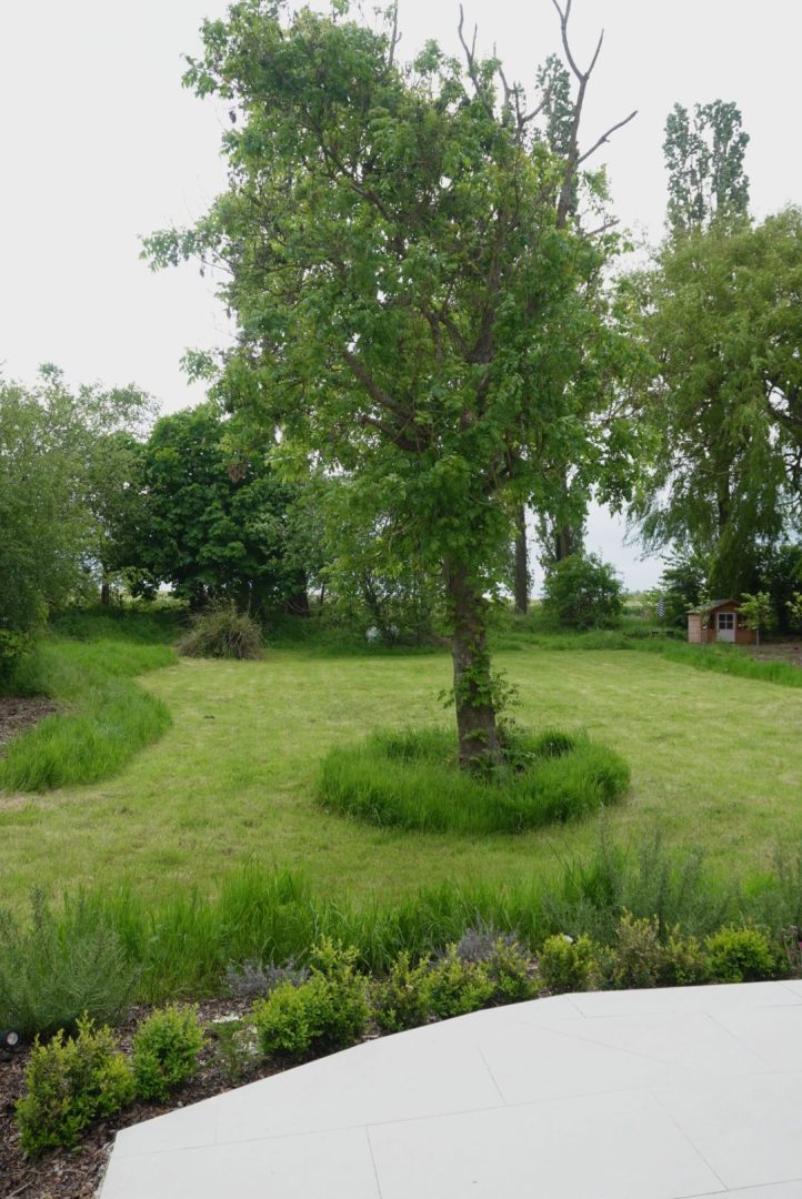 Lower Brook House image