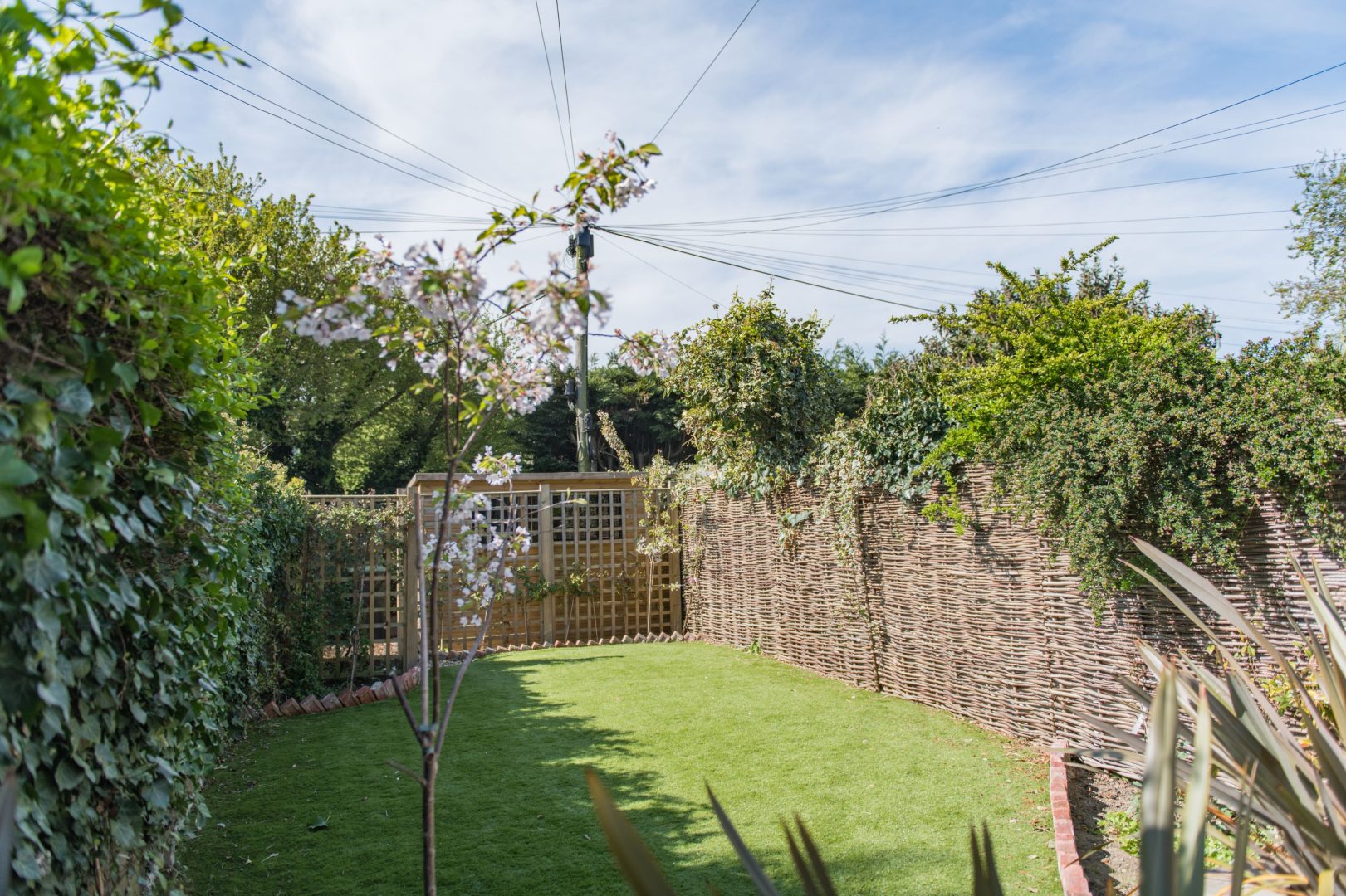 Ravenscourt image