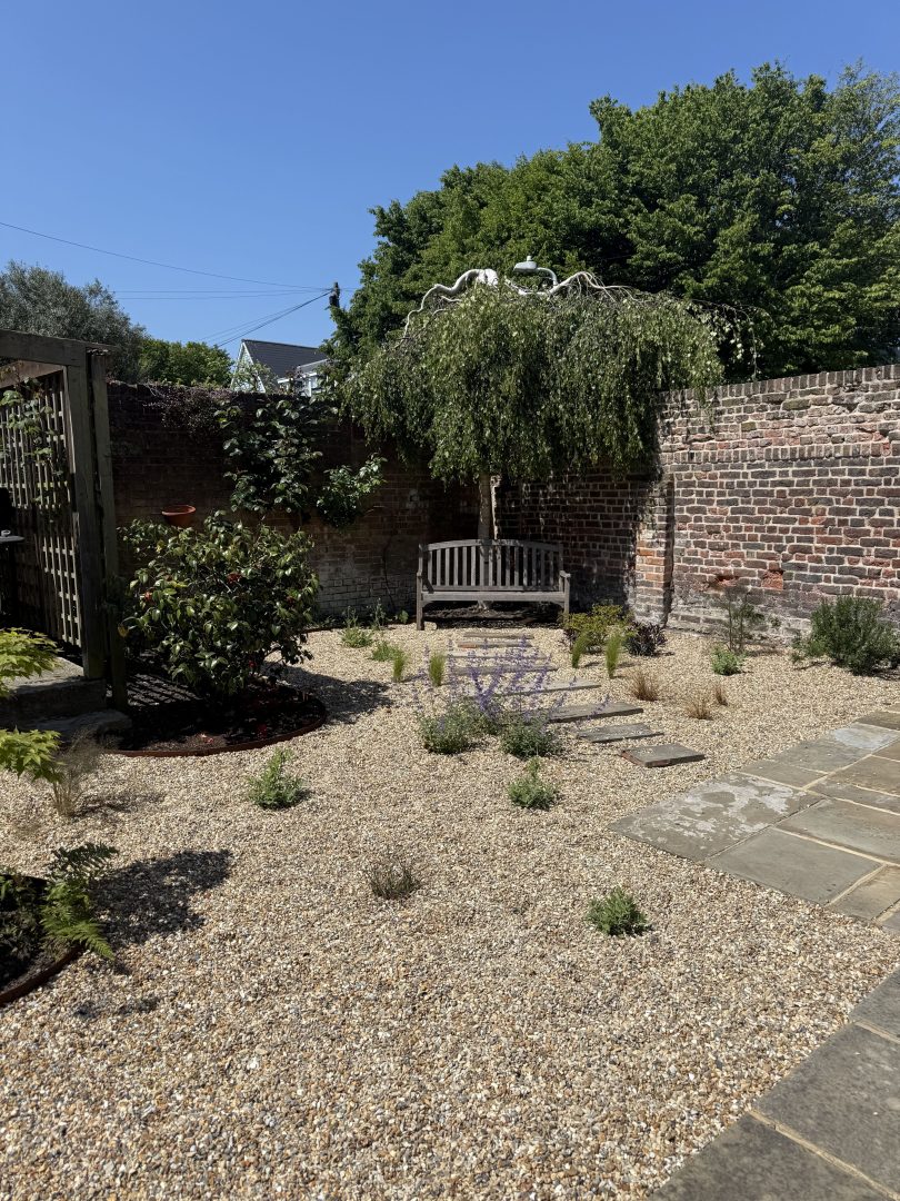 Ivy House image