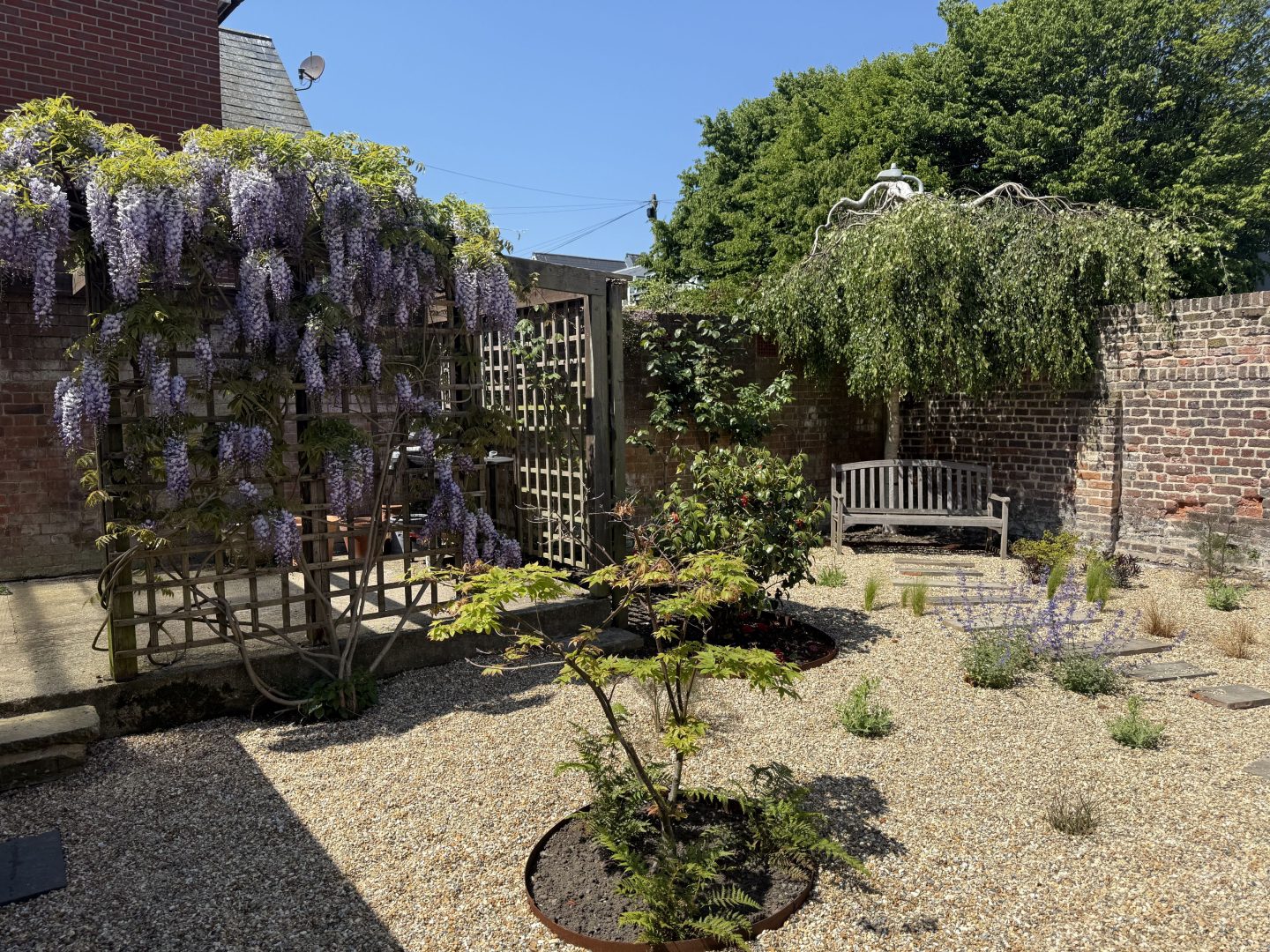 Ivy House image