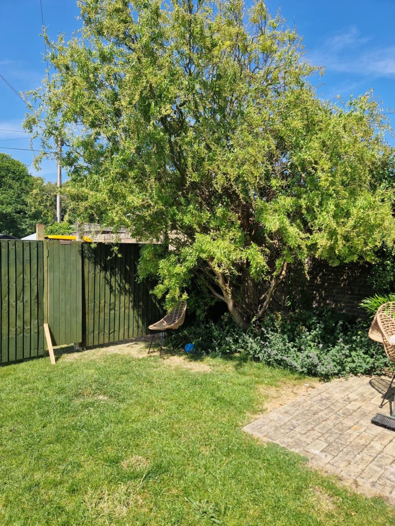 Downs Cottage image