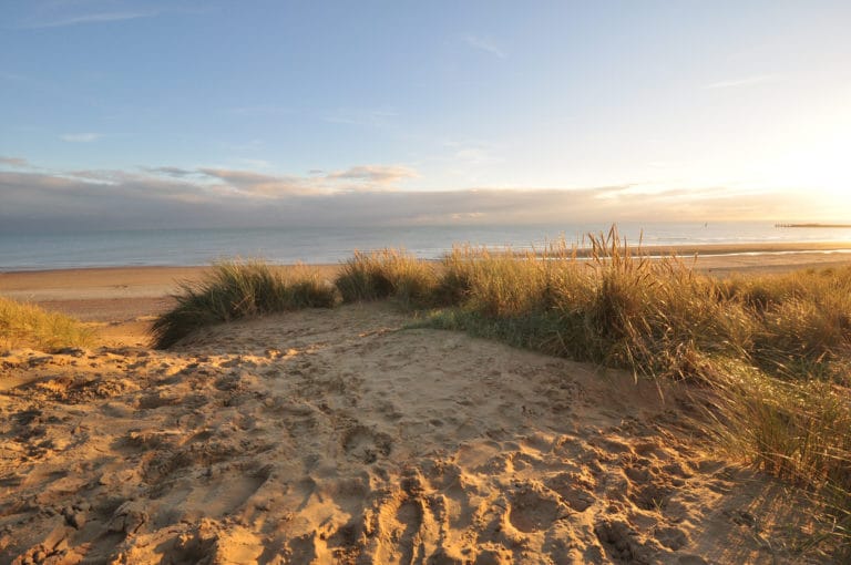 Camber Sands