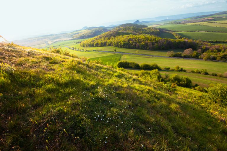 Westwell Downs, Wye | Best walks in Kent | Kents Nature Reserves