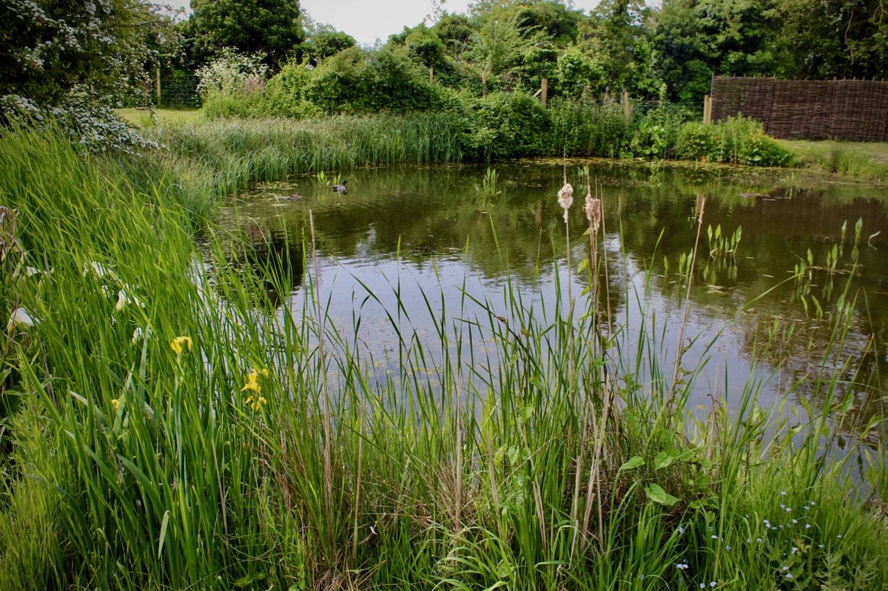 Moat Farm House image