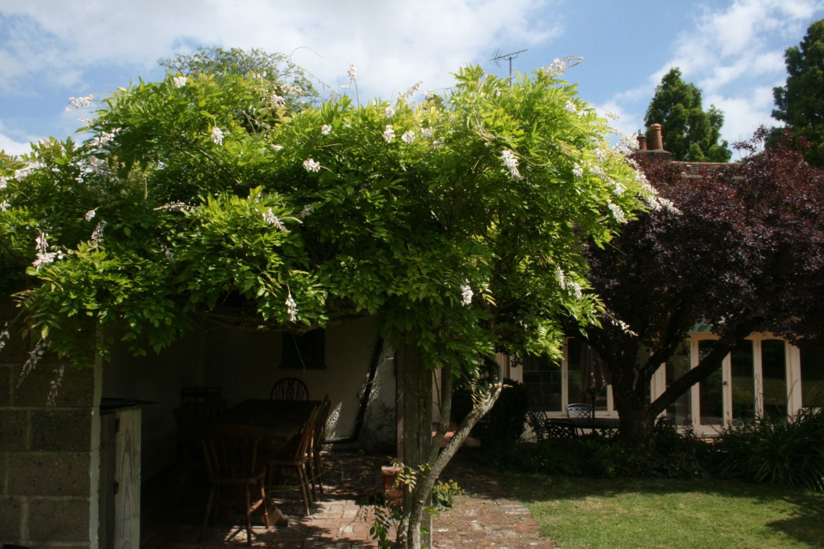 Water Farm House image