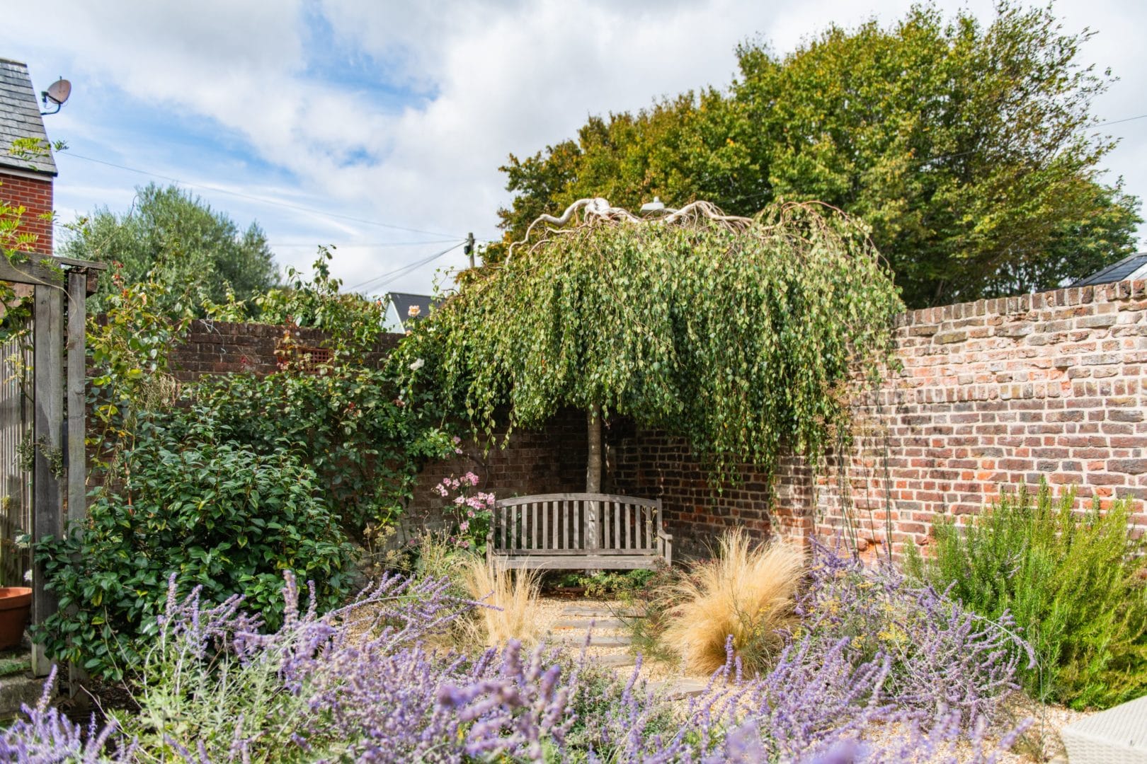 Ivy House image
